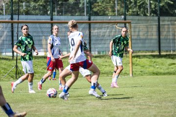 Bild 227 - wBJ Hamburger SV - VfL Wolfsburg : Ergebnis: 5:1